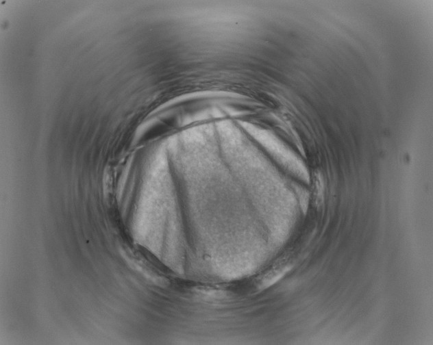 X0000088160284200706121609