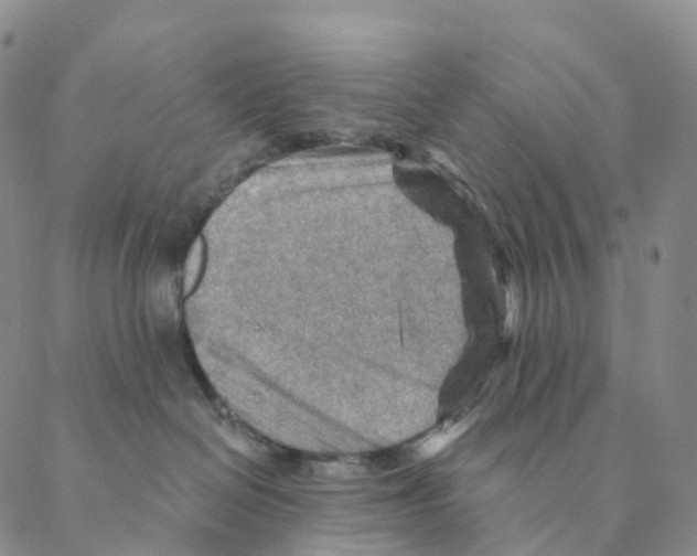 X0000088160286200706121609