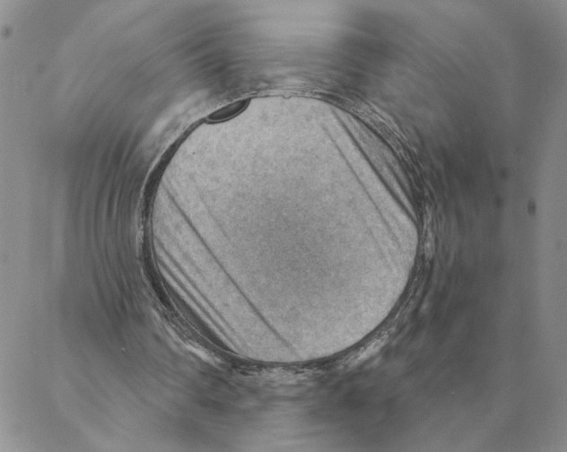 X0000088160290200706121608