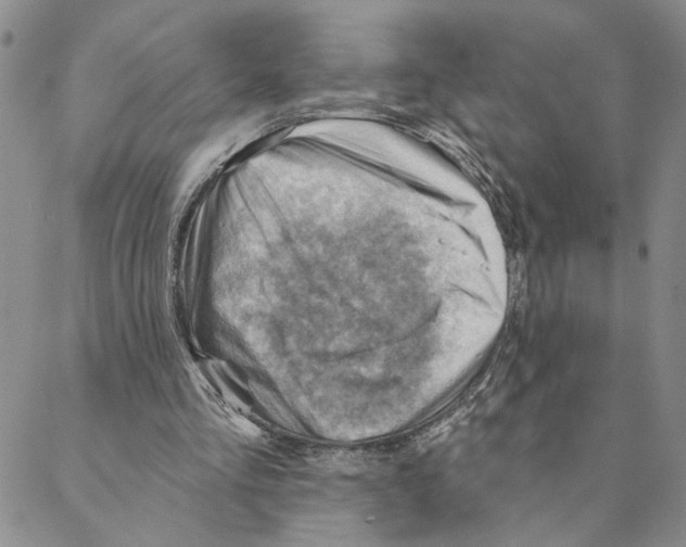 X0000088160293200706121608