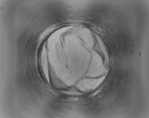X0000088160294200706121608
