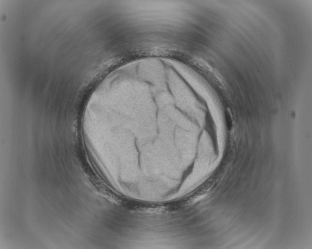 X0000088160306200706121608