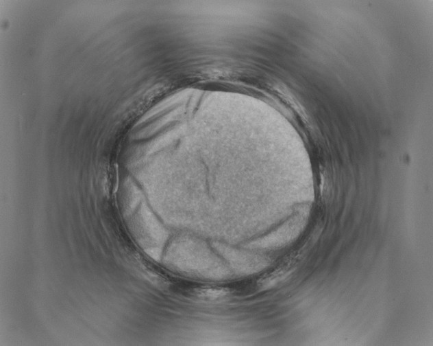 X0000088160313200706121608