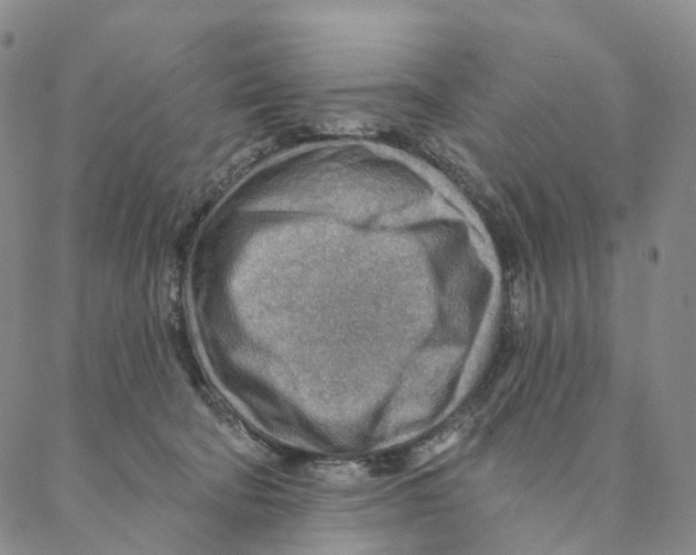 X0000088160322200706121607