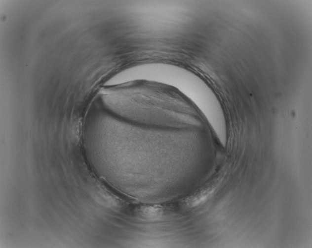 X0000088160325200706121607