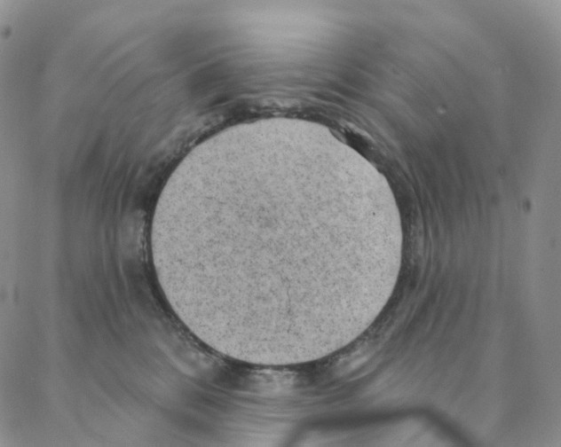 X0000088160328200706121607