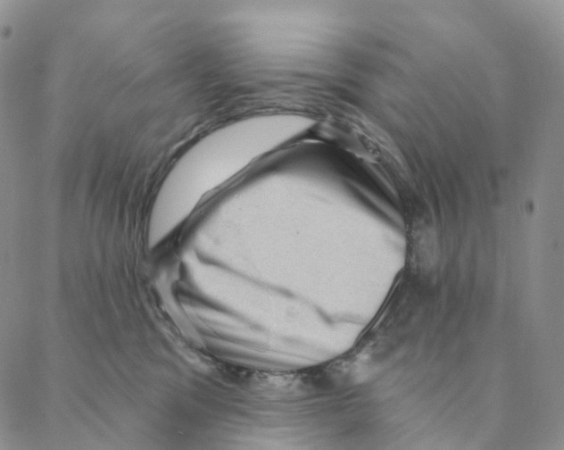 X0000088160329200706121607