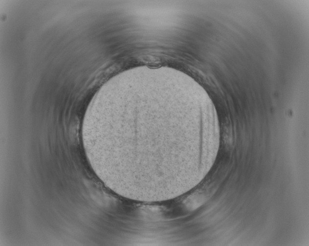 X0000088160332200706121607
