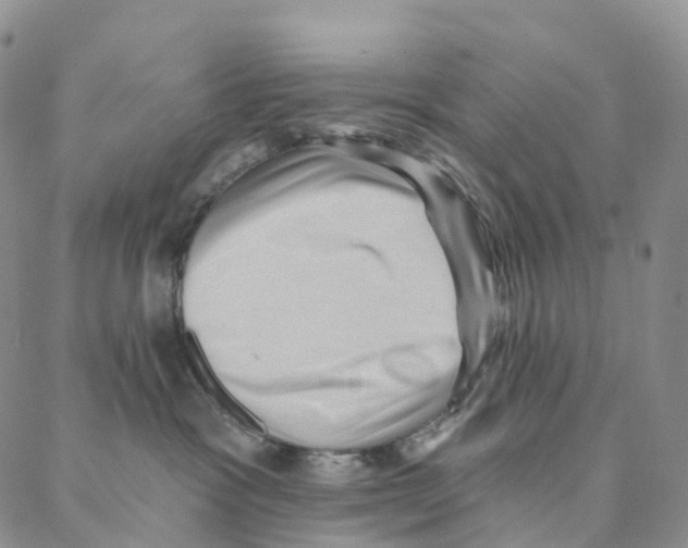 X0000088160333200706121607