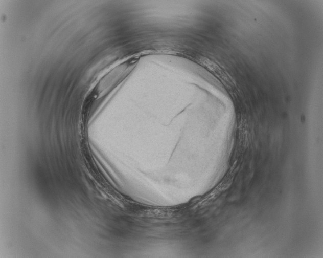 X0000088160338200706121606