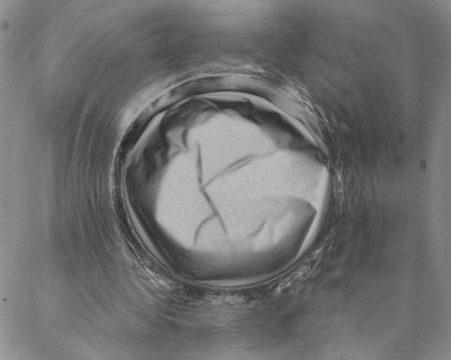 X0000088160340200706121606