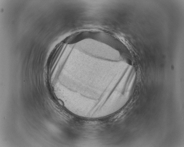 X0000088160342200706121607