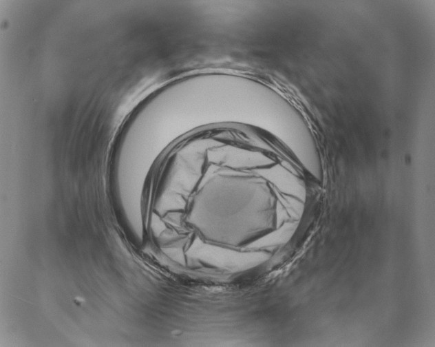 X0000088160344200706121607