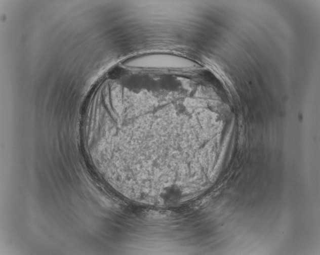 X0000088160346200706121607