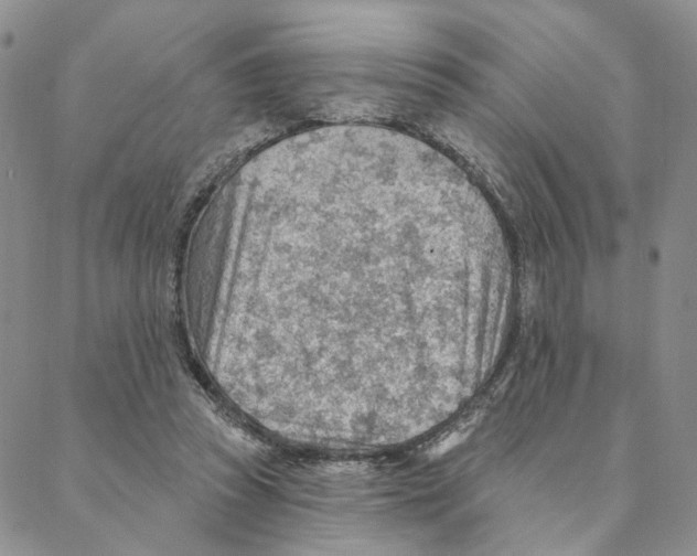 X0000088160353200706121607