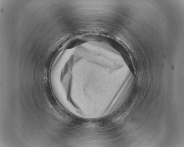 X0000088160356200706121607