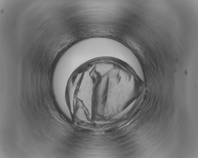 X0000088160362200706121607