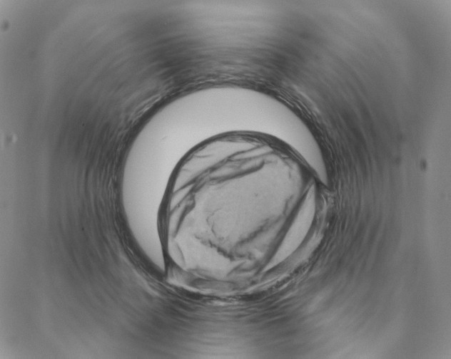 X0000088160364200706121607