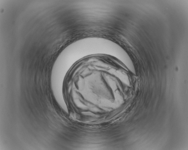 X0000088160368200706121607