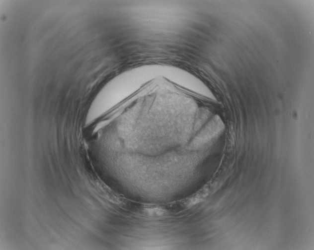 X0000088160376200706121607