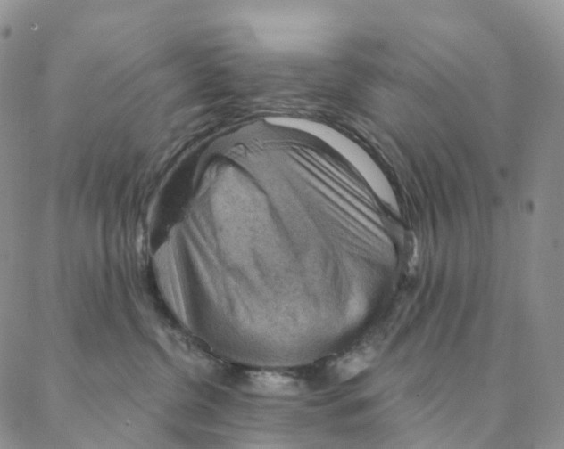 X0000088160380200706121607