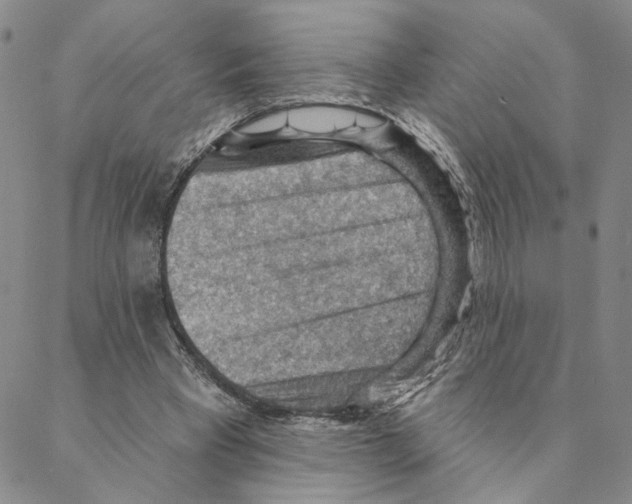 X0000088160393200706121606