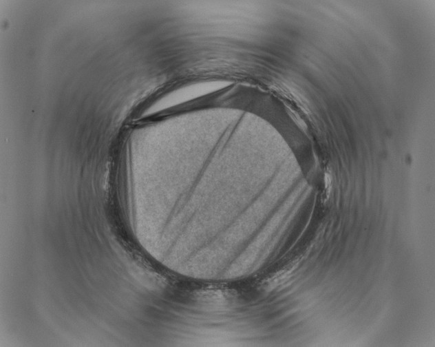 X0000088160404200706121606
