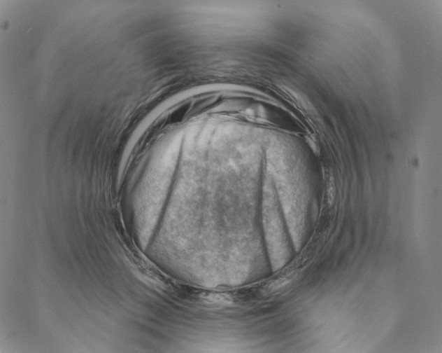 X0000088160409200706121606