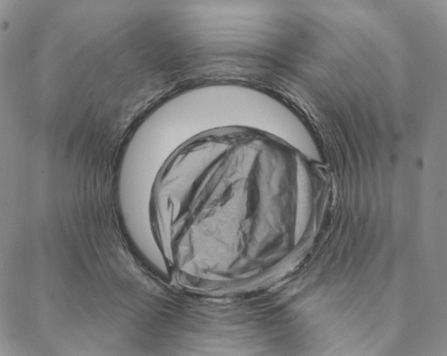 X0000088160411200706121606