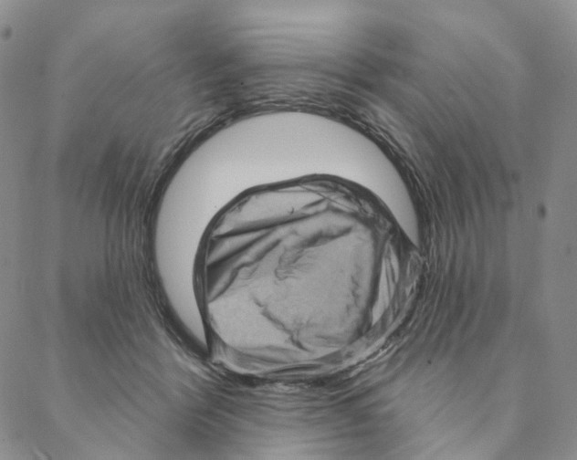 X0000088160412200706121606