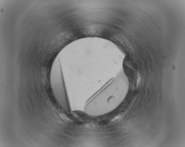 X0000088160416200706121606