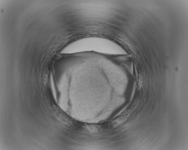 X0000088160417200706121606
