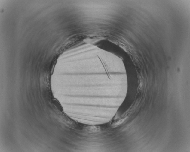 X0000088160421200706121606