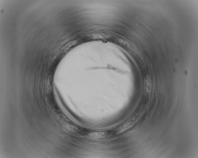 X0000088160422200706121606
