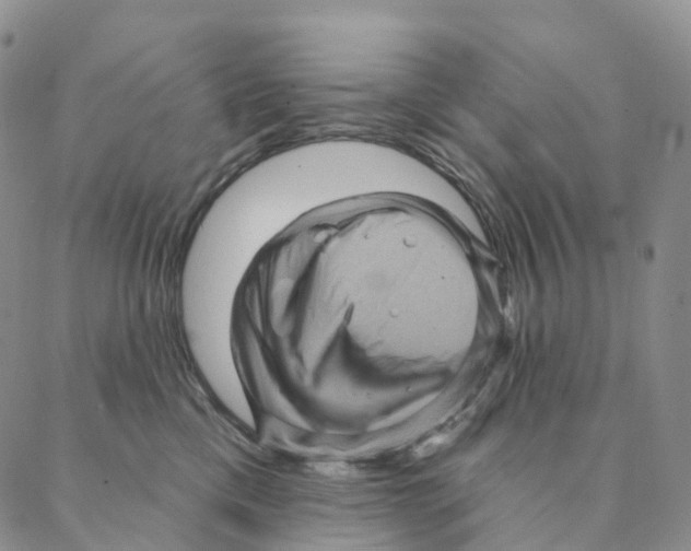 X0000088160425200706121606