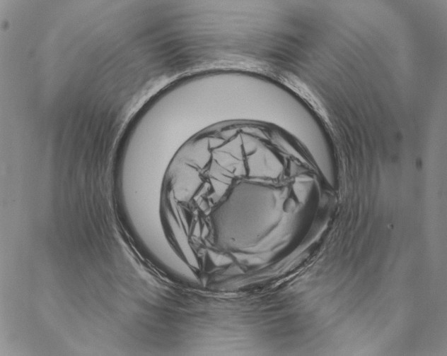 X0000088160436200706121605