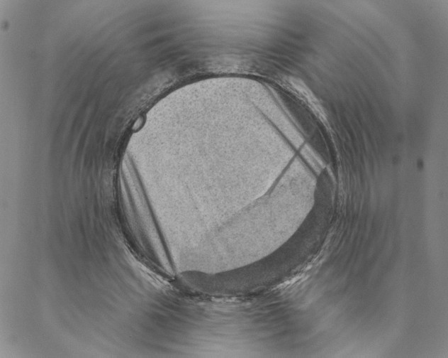 X0000088160441200706121605