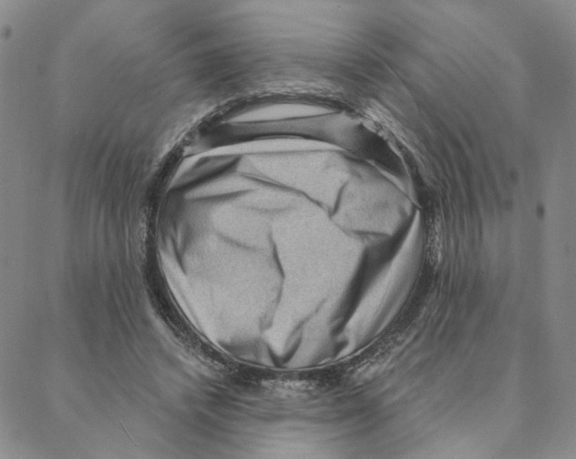X0000088160448200706121605