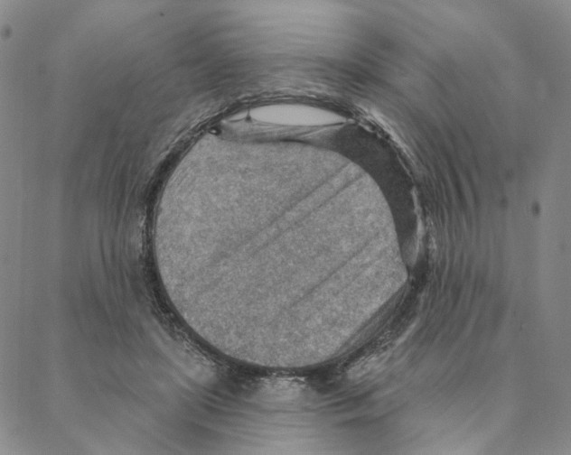 X0000088160451200706121605