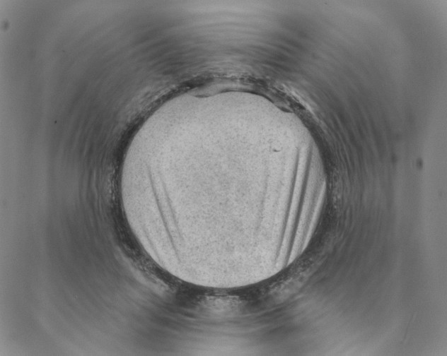 X0000088160455200706121605