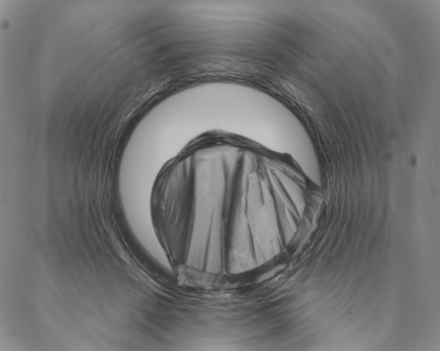 X0000088160456200706121605