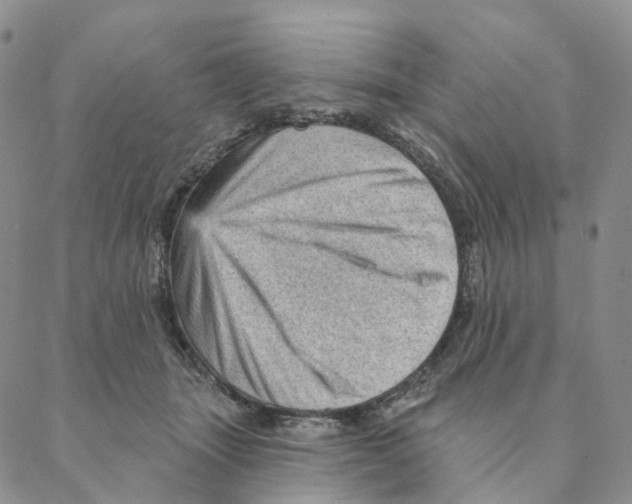 X0000088160463200706121605