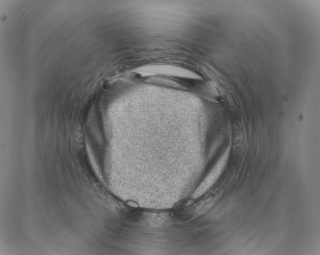 X0000088160469200706121605