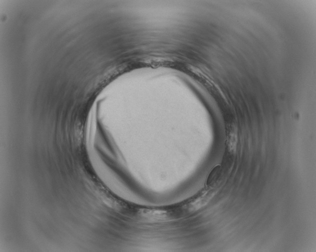 X0000088160476200706121606