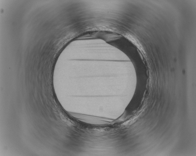 X0000088160481200706121605