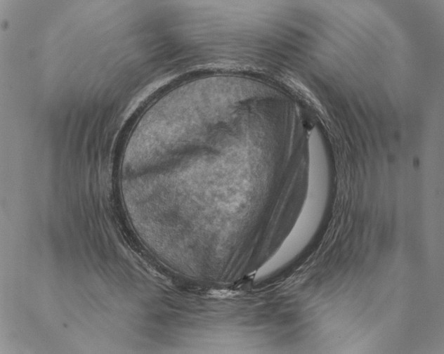 X0000088160484200706121605