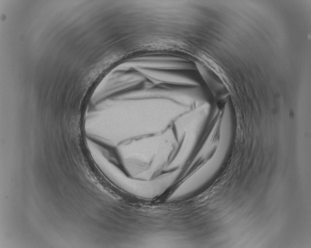 X0000088160485200706121605