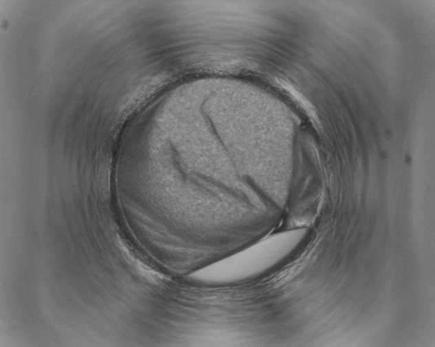 X0000088160493200706121605