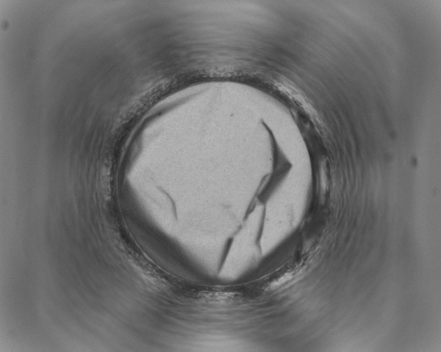 X0000088160497200706121605