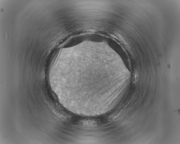 X0000088160500200706121605